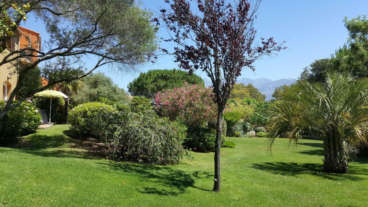 Residence A Merula Calvi  Bagian luar foto